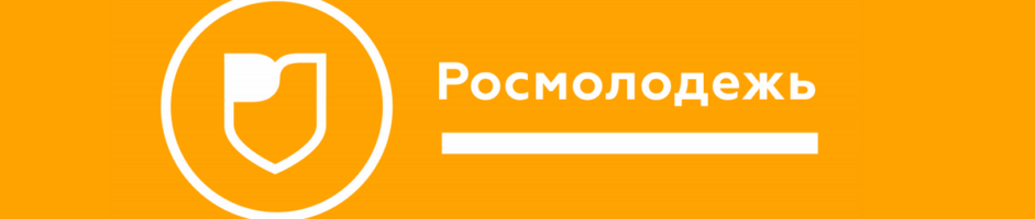 Отчет о реализации гранта Росмолодежь был успешно сдан